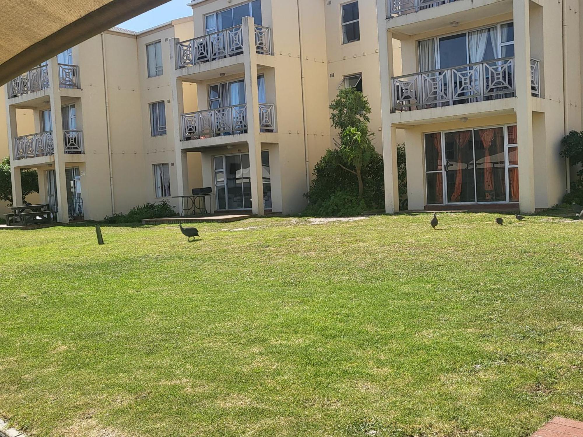 Hermanus Beach Club Værelse billede
